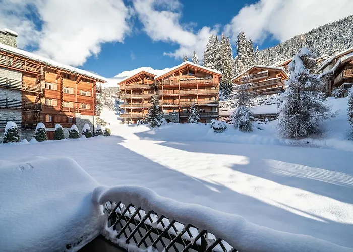 Ayous - By Emerald *